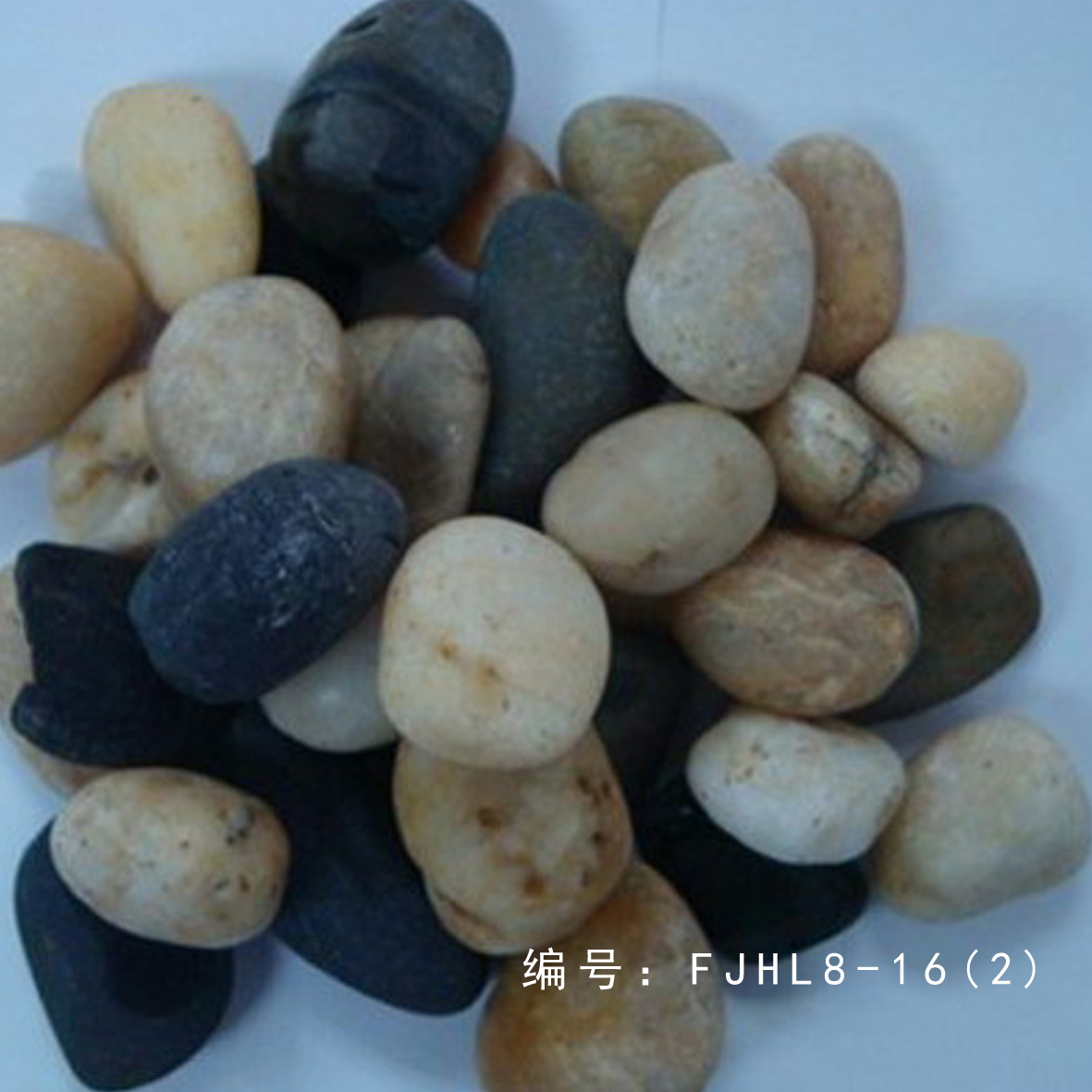 8-16Zʯ(2)